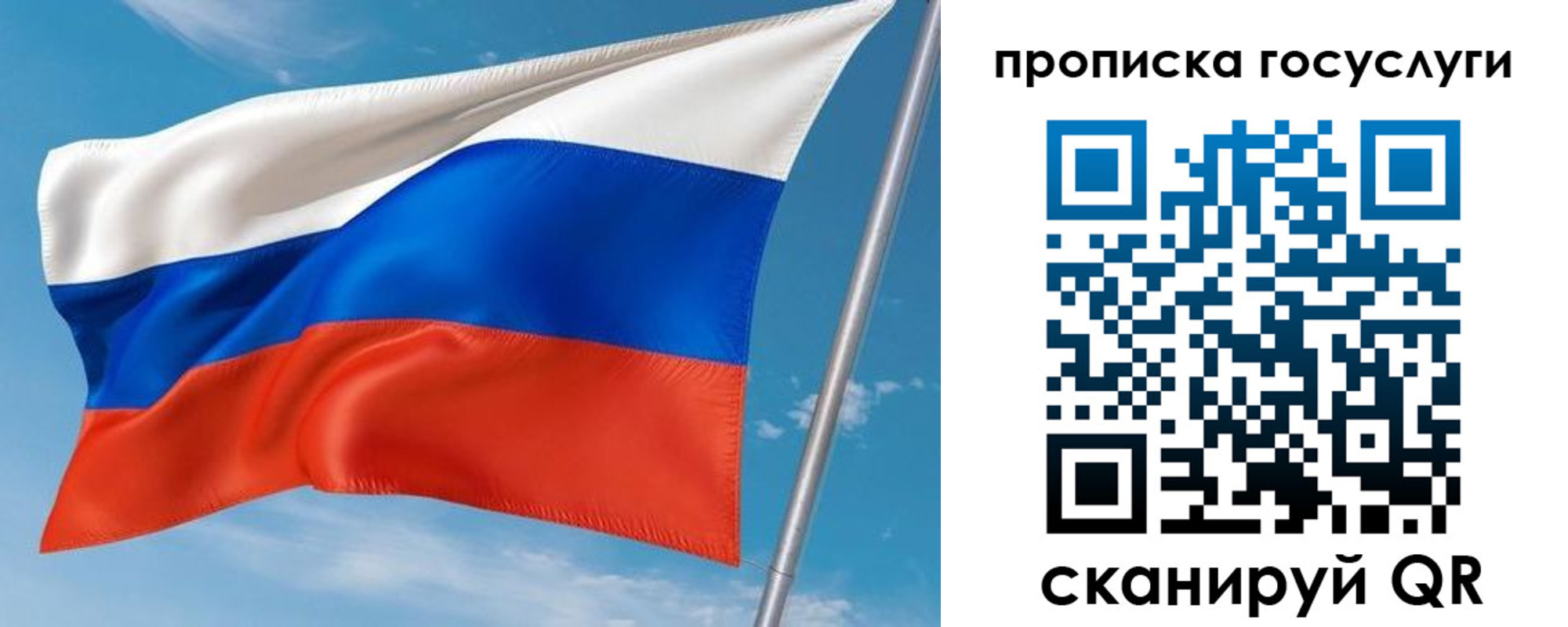 прописка в Светлом