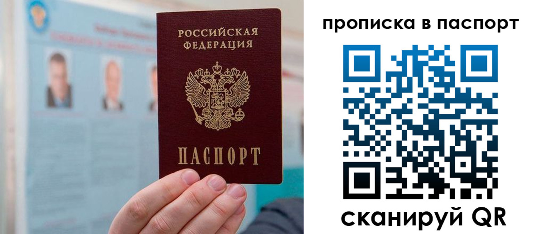 прописка гарантия в Светлом